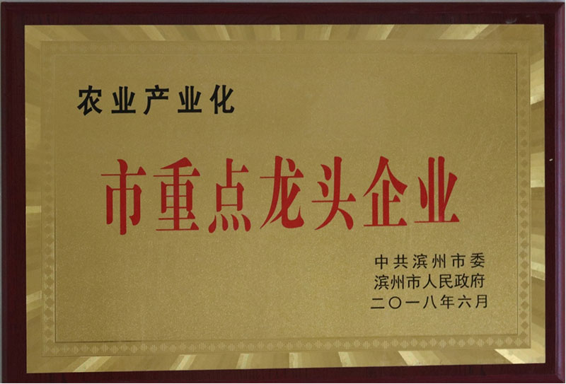 市重点龙头企业