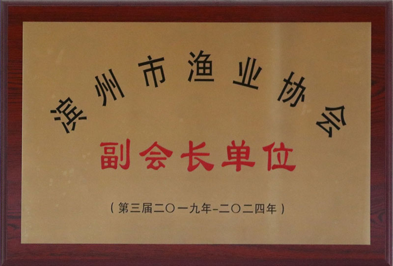 副会长单位