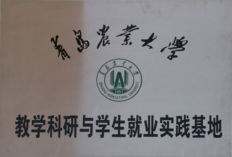 教学科研与就业实践基地